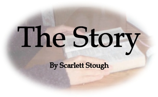 The Story by Scarlett Stough